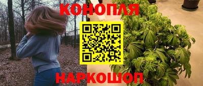 PSILOCYBIN Бугуруслан