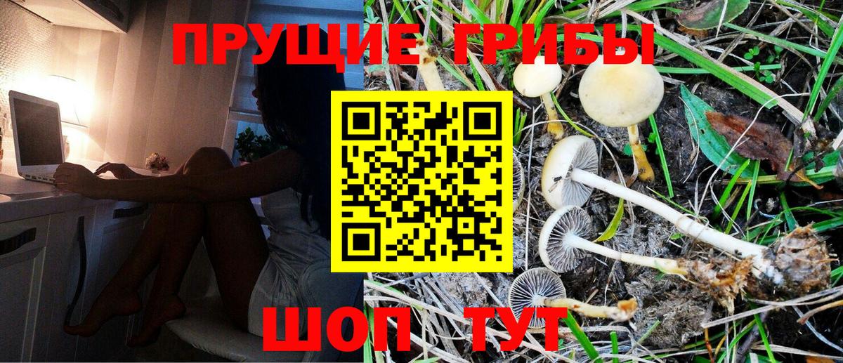 Псилоцибиновые грибы мухоморы Рубцовск